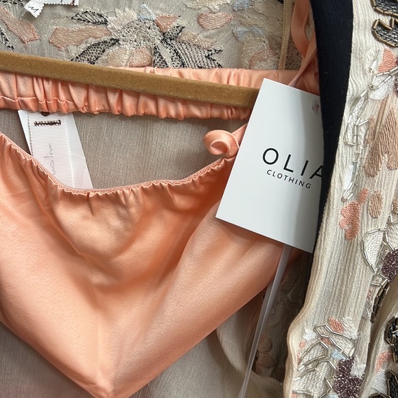 Peach Satin MIDI Dress - Picture 9 of 9